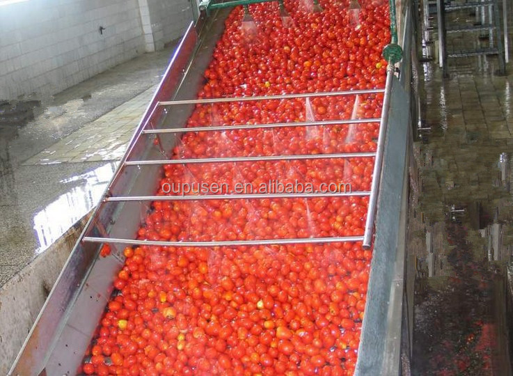 Best Offer of of Tomato Paste