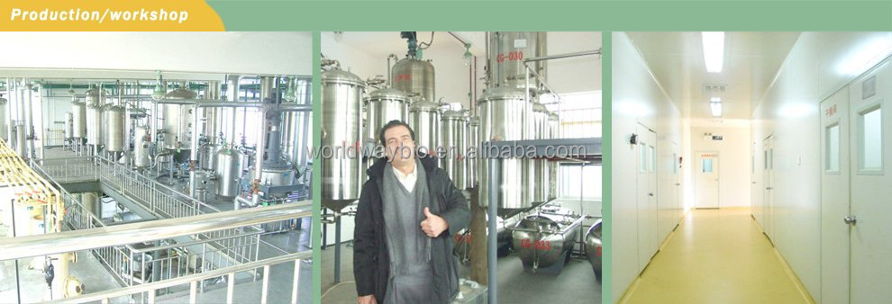 Food grade free sample made in China HACCP KOSHER GMP factory supply 10% piperine water-soluble black pepper extract