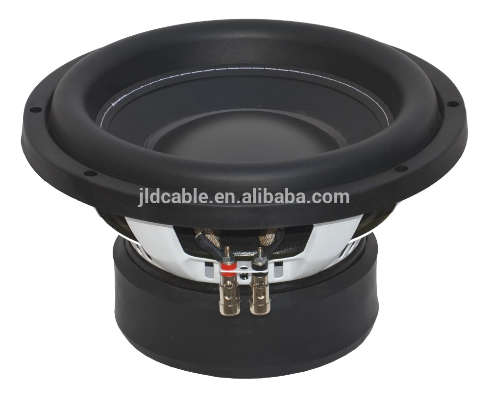 car subwoofer 10inch.jpg