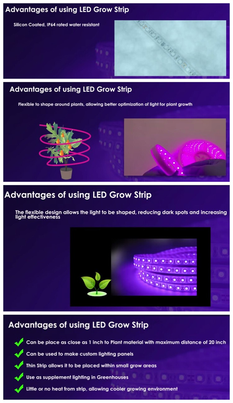 水耕温室フルスペクトラムsmd 5730 led成長ライトストリップ仕入れ・メーカー・工場