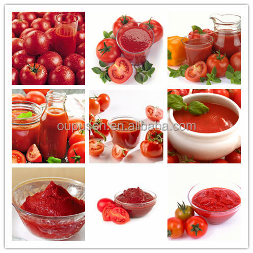 36-38% Tomato Sauce in Drum