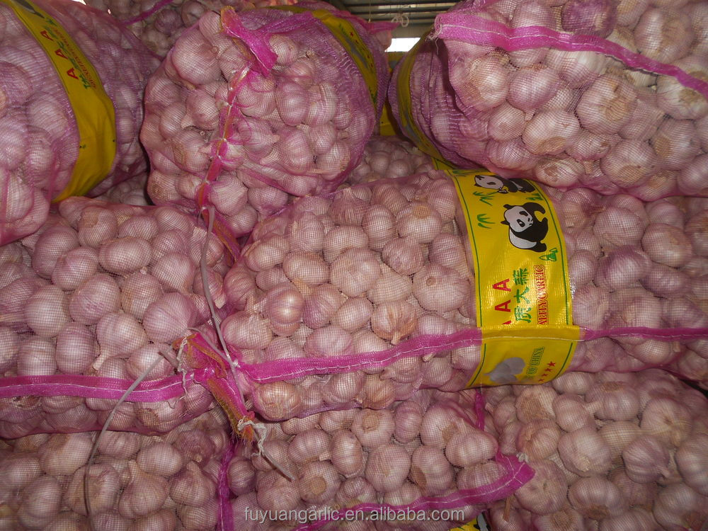 fresh red garlic packed in loose package