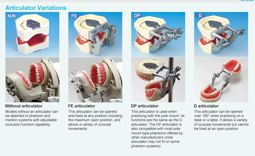 2017 New Produced Dental Yamahachi Acrylic Teeth,Dental Demonstration