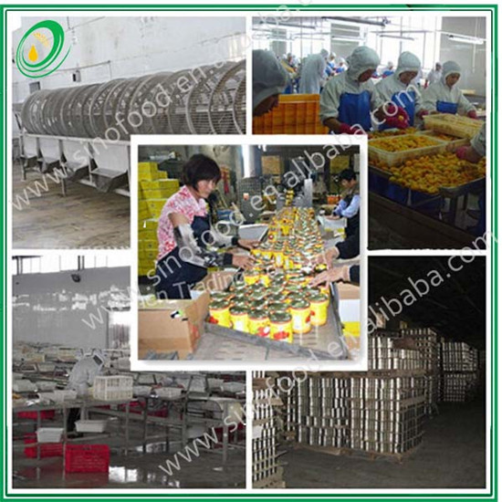 All types of non gmo canned corn Canned Sweet Corn 400 G
