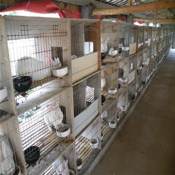 meat rabbit cages for sale