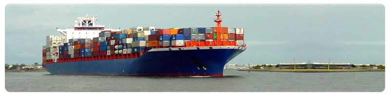 Tricalcium Phosphate Food Grade