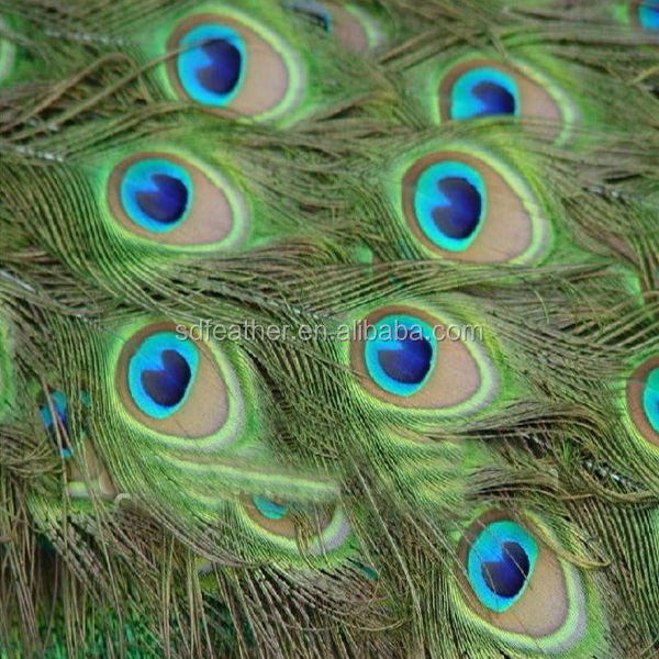 孔雀の羽自然な色の羽のアクセサリー90〜100センチメートル孔雀の羽のビッグアイの羽の材料問屋・仕入れ・卸・卸売り