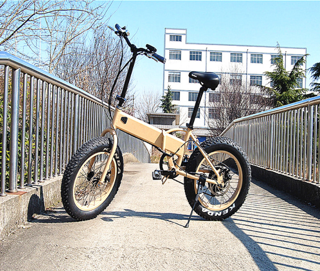 epac electric bike