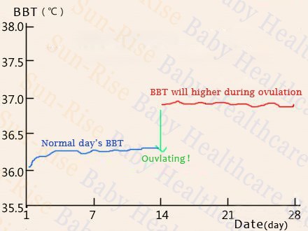 Ovulating day ovulation temperature