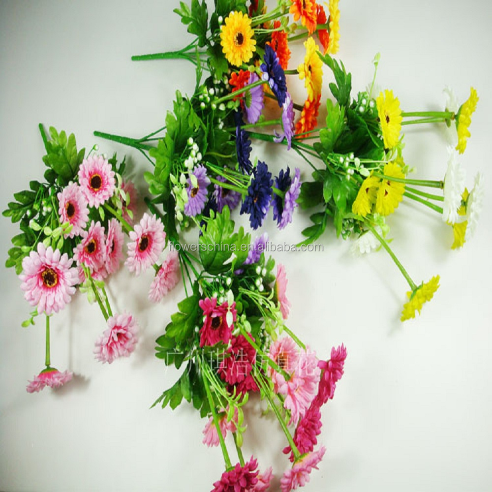 Fresh Cut Chrysanthemum Flower  Buy Price Chrysanthemum Cut Flower  Fresh Cut Chrysanthemum Flower  Buy Price Chrysanthemum Cut Flower