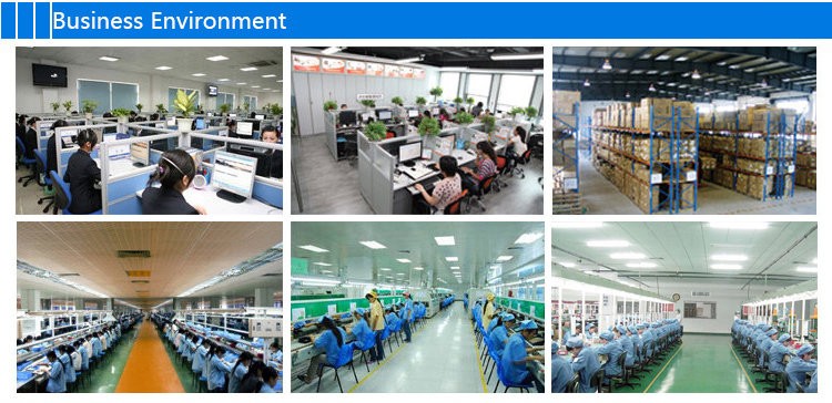 3. Business Environment.jpg