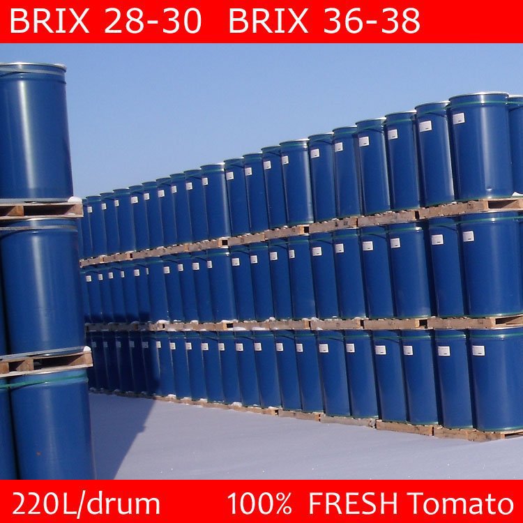 tomato paste with tin packing, 400g delicious tomato paste