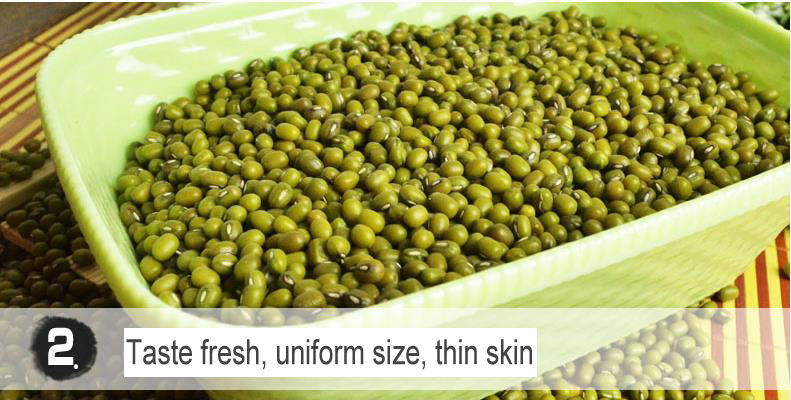 Dry high quality bulk green mung bean specification with a good price