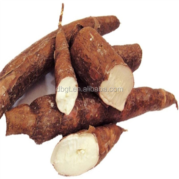 tapioca starch/tapioca starch factory/cassava flour