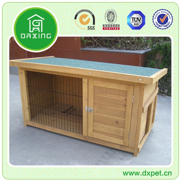 DXR028.jpg