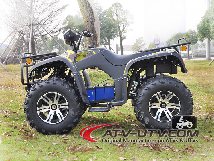 Amphibious Electric Atv 2200w Adult Electric Quad (loading Two Person