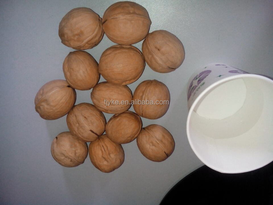 walnut kernels whole