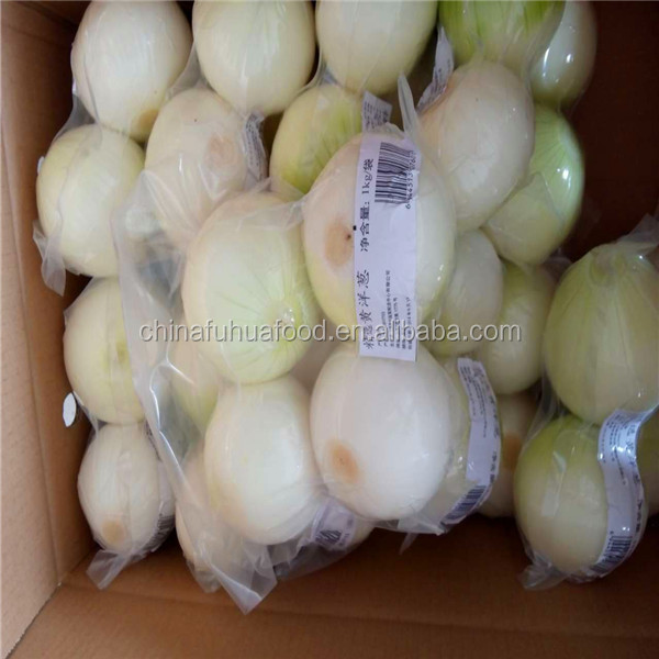 Fresh Onion On Sale