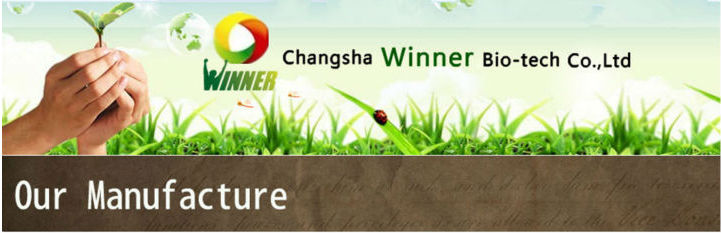 dried flower tea,herbal tea,osmanthus flower tea bags