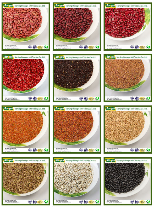 Safflower new crop /Saffron