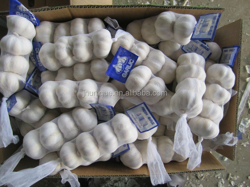 Small net mesh bags wholesale natural garlic direct suppliers from China
