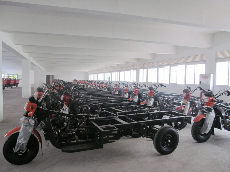 adult electric tricycle