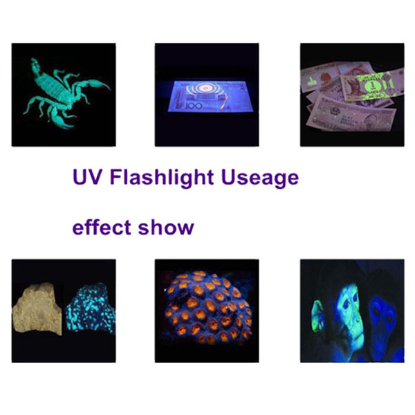 サソリ51用uv懐中電灯やペット検出器ウルトラバイオレット51uv懐中電灯仕入れ・メーカー・工場