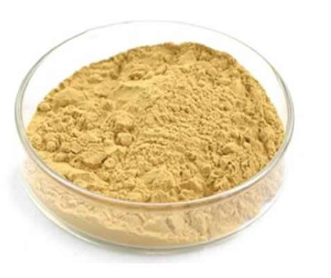 GMP Manufacturer Marshmallow Extract Powder