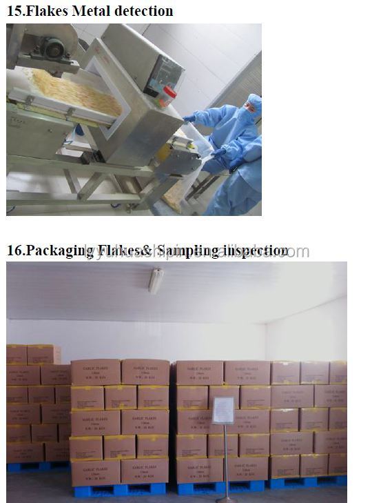 Garlic powder different mesh export to Japan