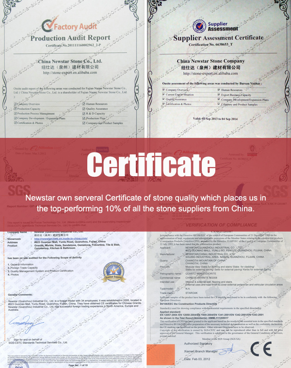 Newstar Certificate.jpg