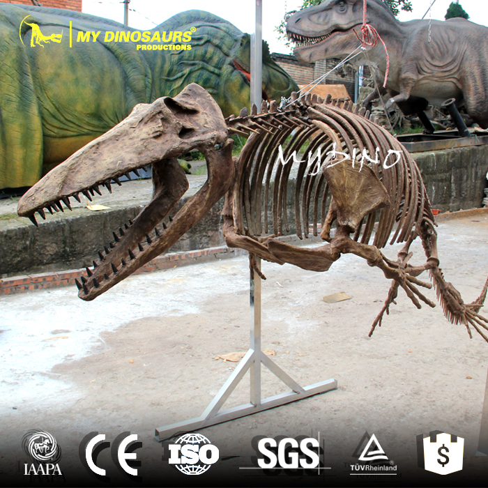 Mosasaur Skeleton 1.jpg