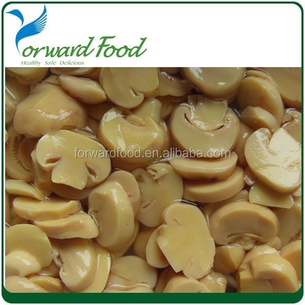 Top quality canned mushroom China