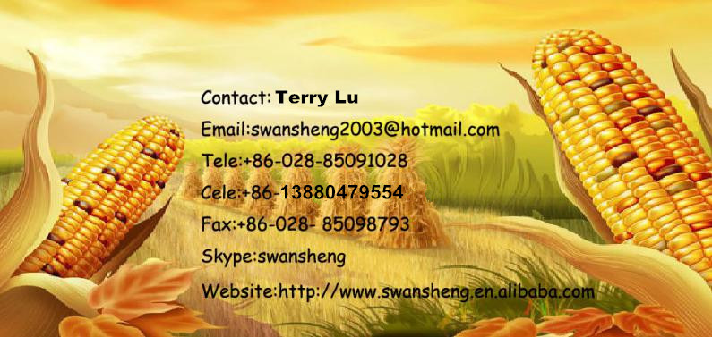 We Are Fresh Yellow Maize Exporters Offer Best Price of Fresh Yellow Maize/100% Native Corn Starch