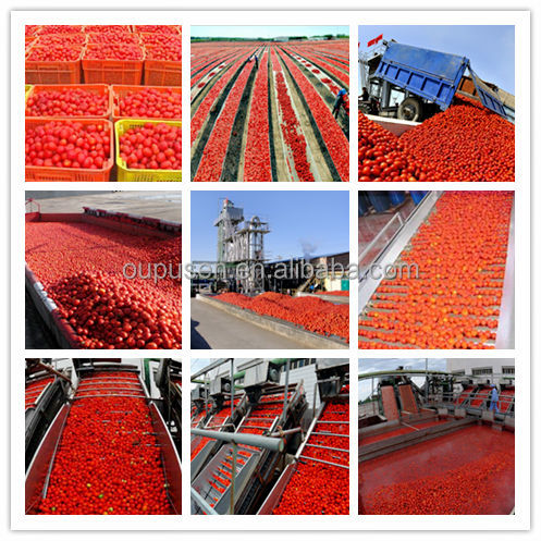 Cold Break Bulk Tomato Paste