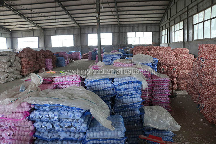 Wholesale Garlic / Fresh Garlic / White Garlic