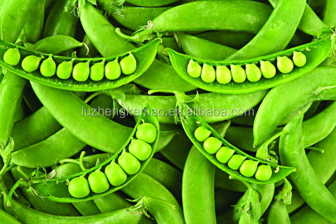 Chicken feet processing machine Blanching machine Chichen feet blancher Chicken feet blanching machine