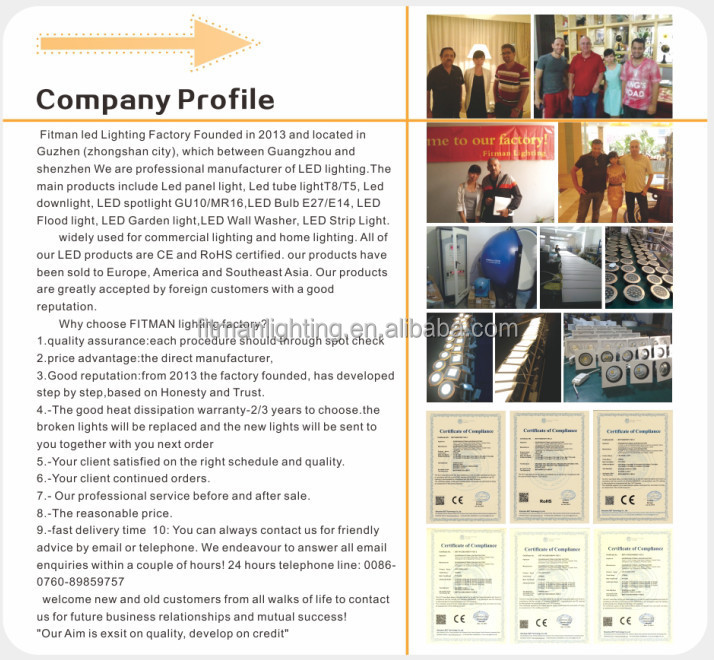 fitman led factory company profile.jpg