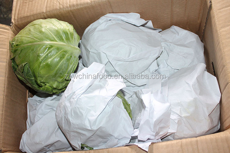 2014 Fresh Cabbage / Green Cabbage With High Quality Enjoying High Reputation