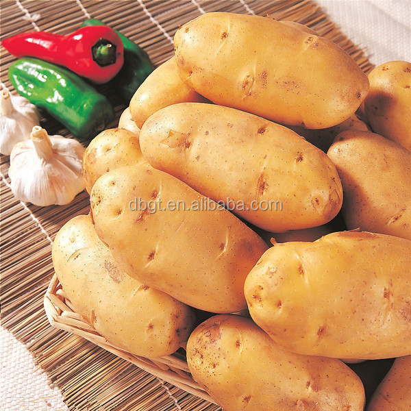 Common types of cultivation and fresh style of potatoes