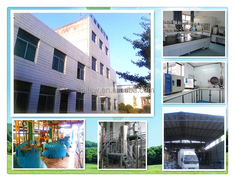 Factories supplying Cocoa Extract powder Theobromine