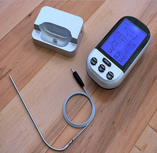 AW131 Talking Thermometer Review