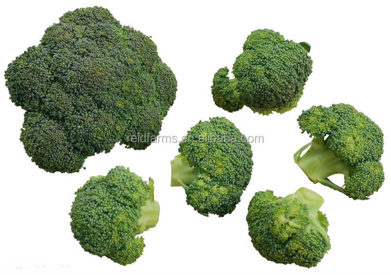 2014 new fresh reid farms broccoli for exporting A grade