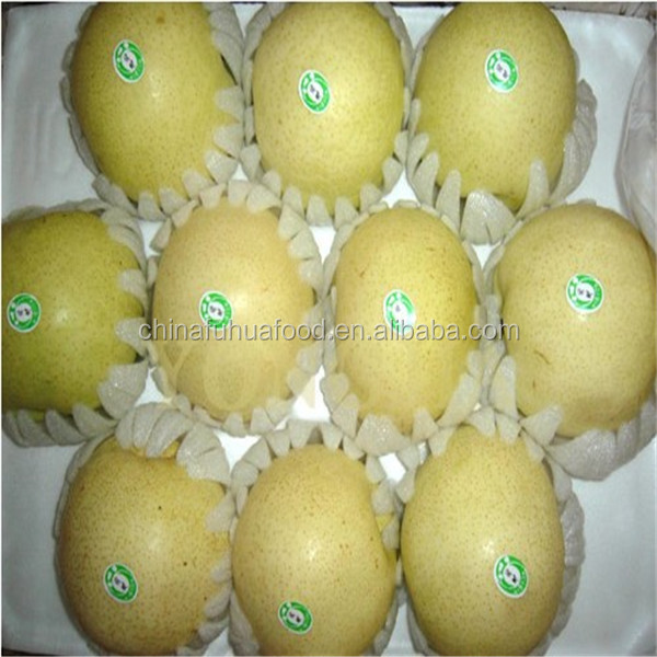 2014 New Crop Pear