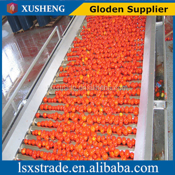 Light red tomato paste hot sell good price (B)