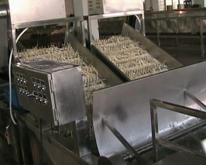 Bean-sprout washing machine I