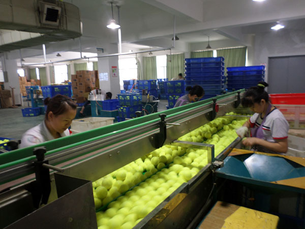2016 を odear カスタム プリント テニス ボール作成で中国仕入れ・メーカー・工場