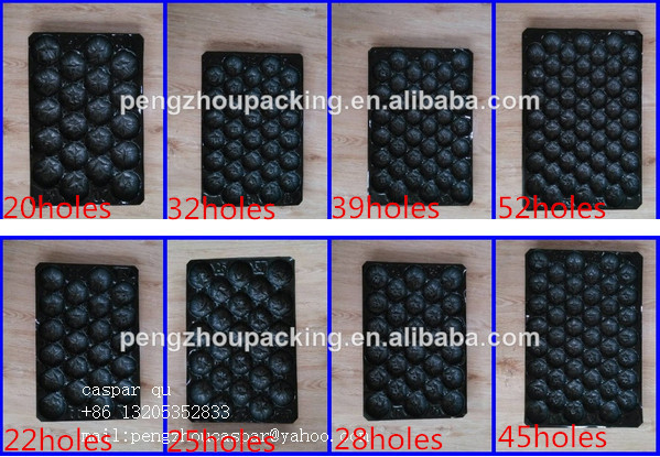hot thermoformed pp ice cube tray