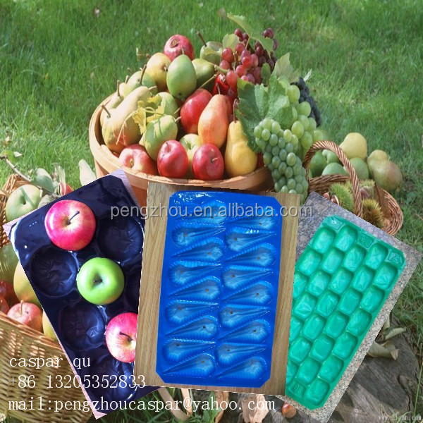 fruit and vegetable pp serving tray