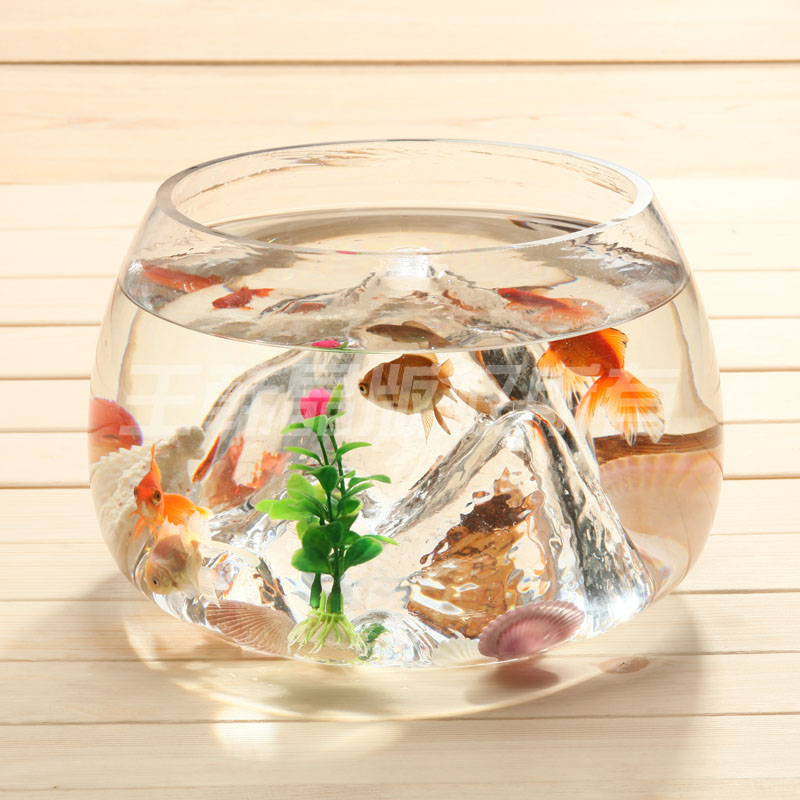 Unique Shaped Glass Goldfish Bowl Mini Round Aquarium Decorative