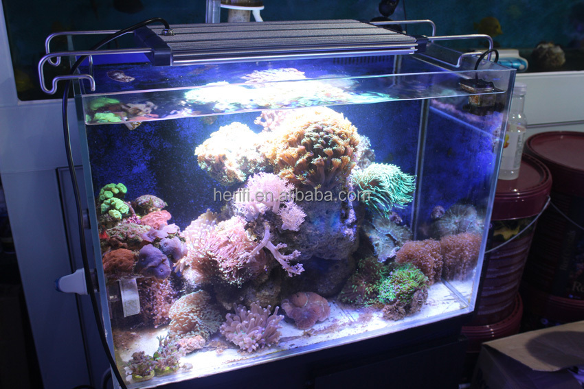 サンゴ礁使用led水族館112 × 3ワットledアクアリウムライト水槽サンゴ礁海洋wifi制御プログラマブル水族館ライト仕入れ・メーカー・工場
